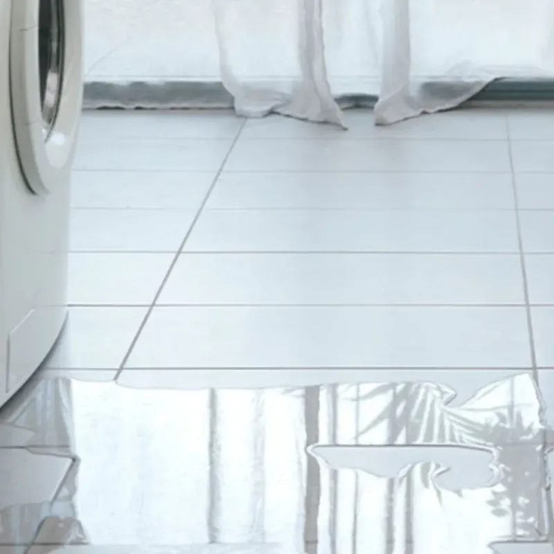 Appliance Leak Cleanup in Squaw Valley, CA